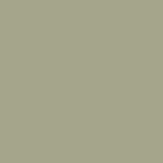LZ.577-绿野仙踪