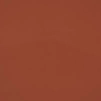 LZL.765-波子汽水