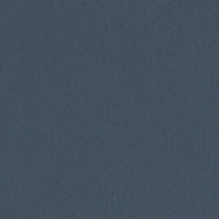 LZL.765-波子汽水