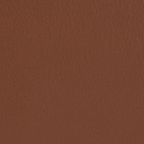 LZL.521-自由古巴