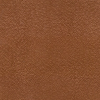 GN.2062-梦游仙境