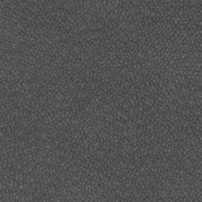 GN.2062-梦游仙境